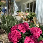 Hotel Capri