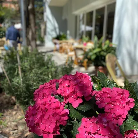 Hotell Capri